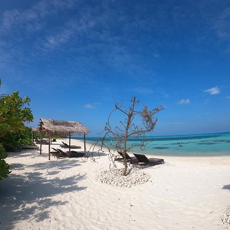 Shamar Guesthouse & Dive Maamigili Island Bagian luar foto