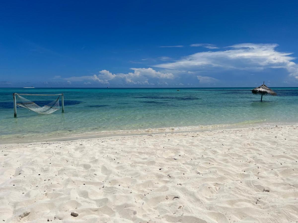 Shamar Guesthouse & Dive Maamigili Island Bagian luar foto