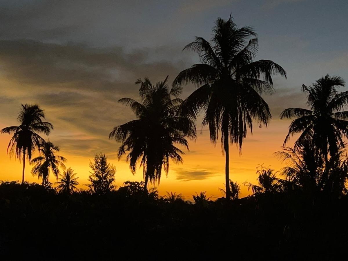 Shamar Guesthouse & Dive Maamigili Island Bagian luar foto