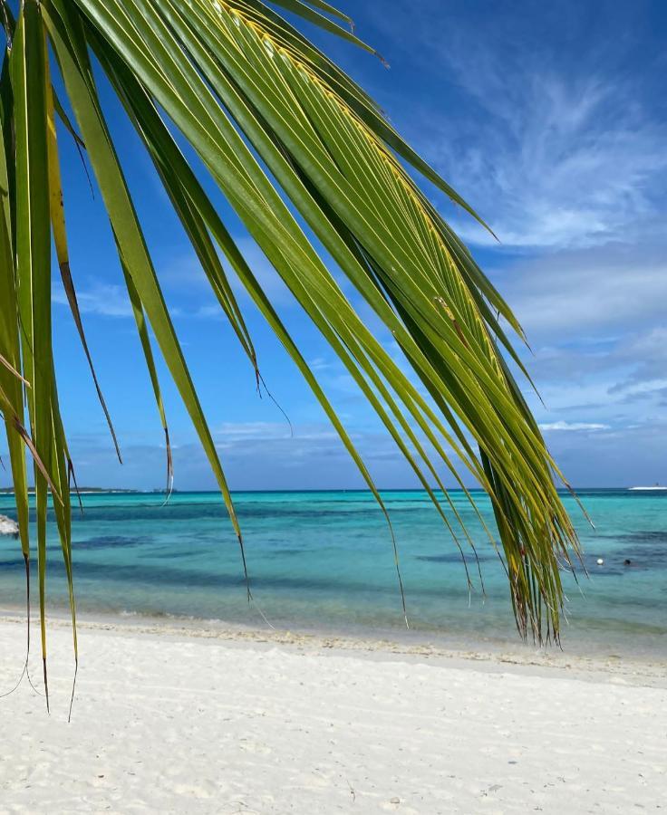 Shamar Guesthouse & Dive Maamigili Island Bagian luar foto