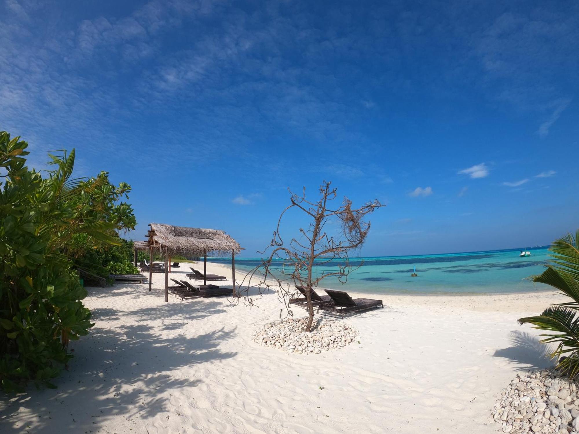 Shamar Guesthouse & Dive Maamigili Island Bagian luar foto