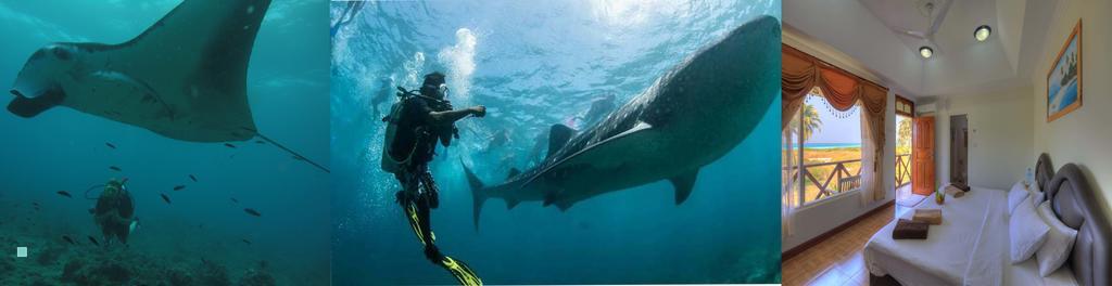 Shamar Guesthouse & Dive Maamigili Island Bagian luar foto