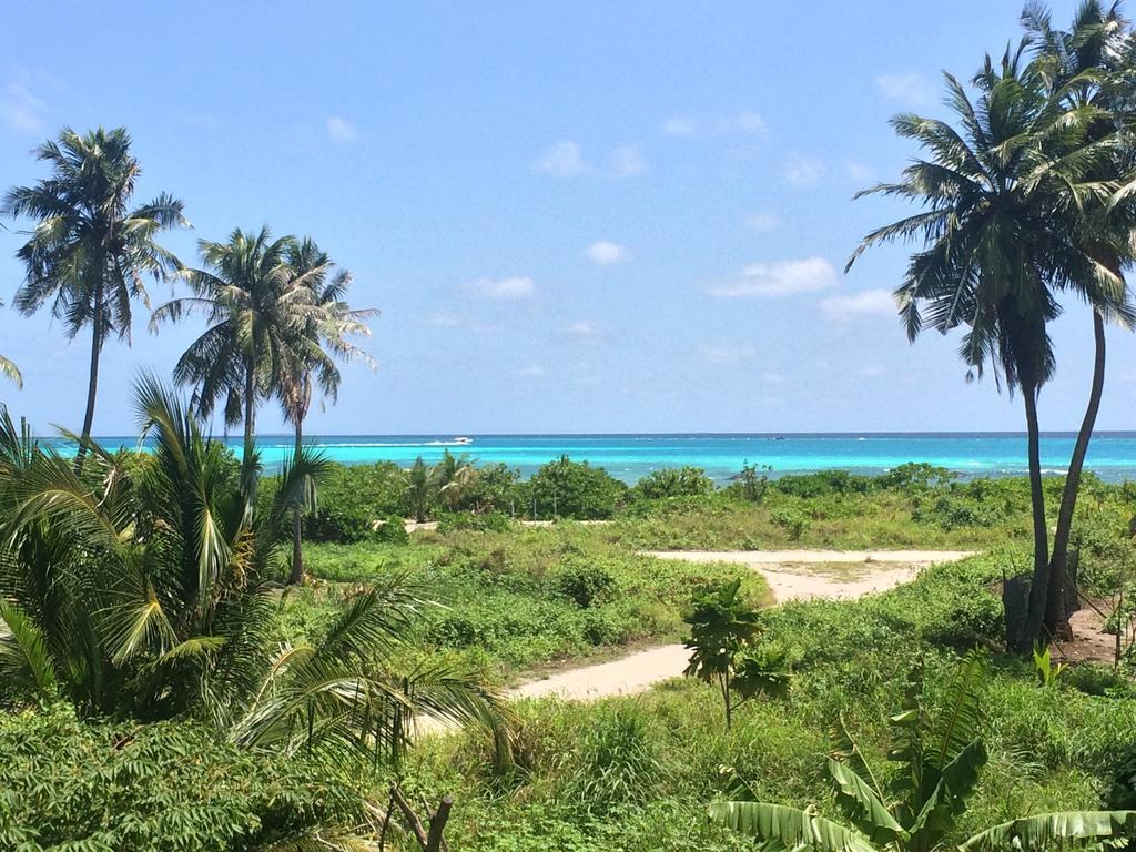 Shamar Guesthouse & Dive Maamigili Island Bagian luar foto