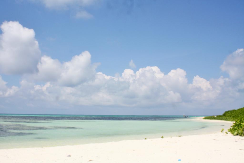 Shamar Guesthouse & Dive Maamigili Island Bagian luar foto