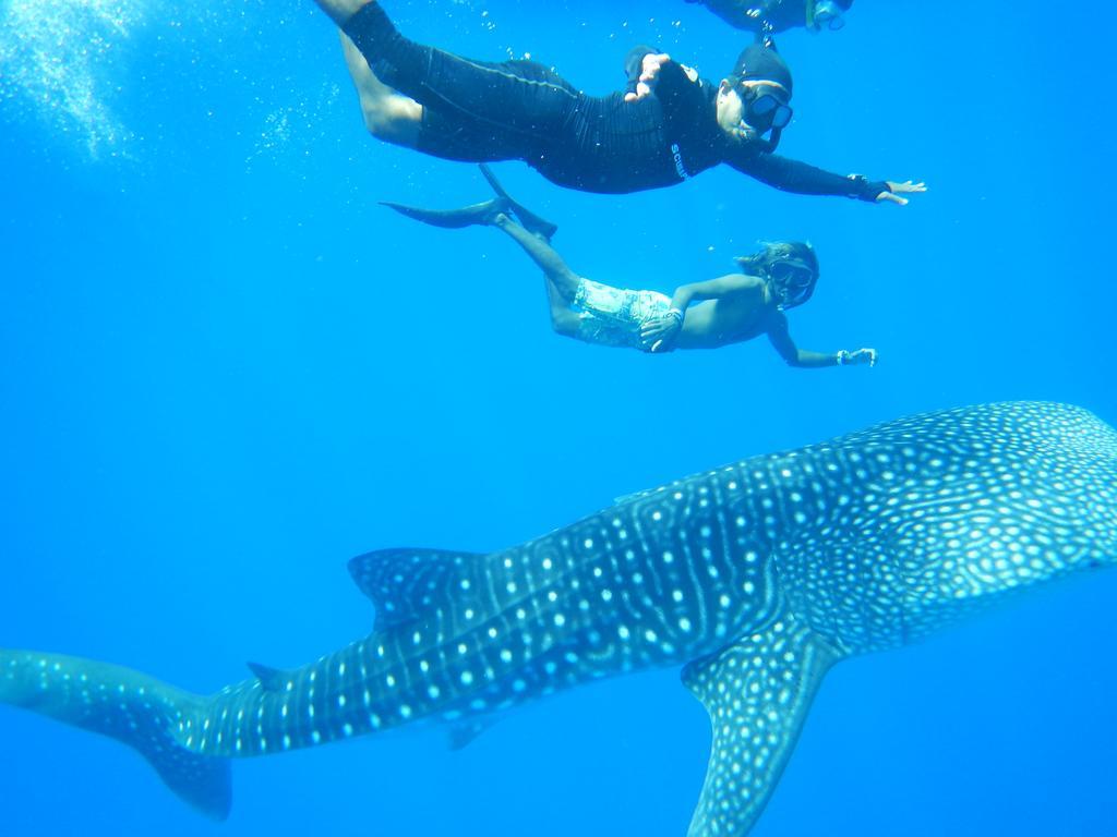 Shamar Guesthouse & Dive Maamigili Island Bagian luar foto