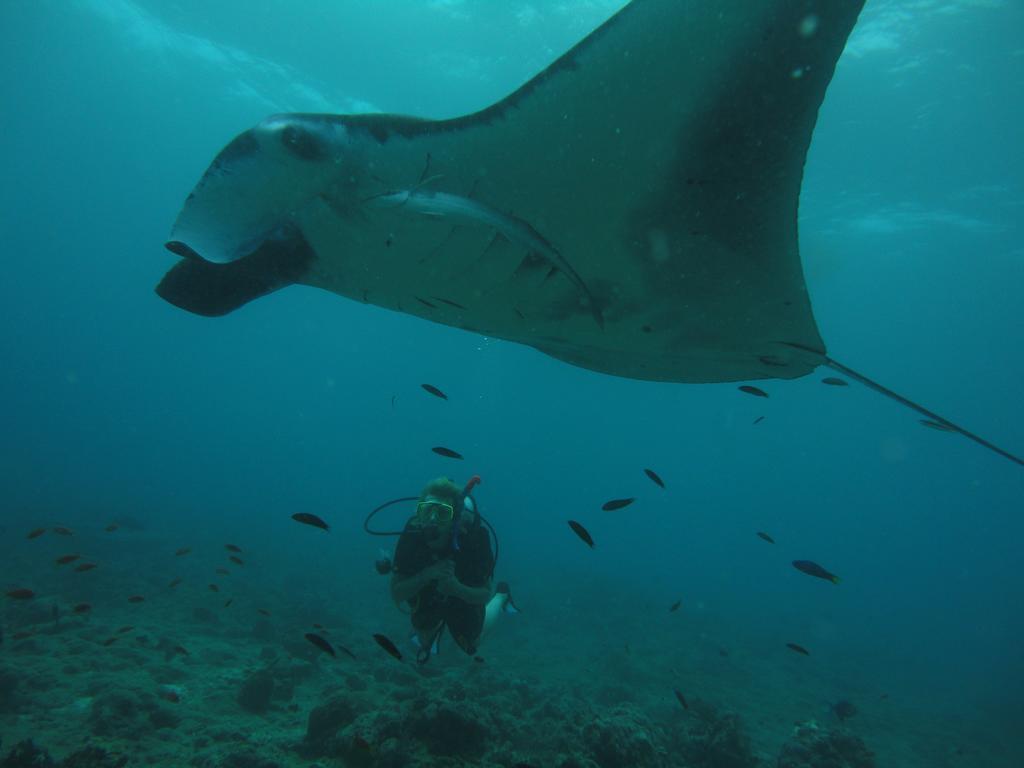 Shamar Guesthouse & Dive Maamigili Island Bagian luar foto